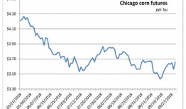 3d走势图带连线图,揭示市场动态与趋势走向